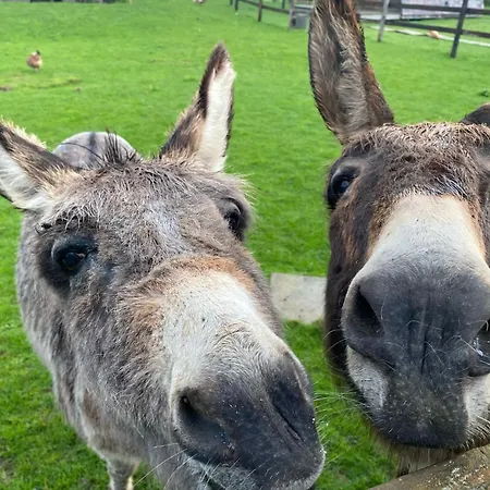 Domaine Des Pieris - D'hotes Grandcamp-Maisy