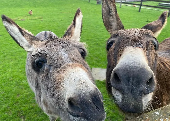 Domaine Des Pieris - D'hotes Grandcamp-Maisy